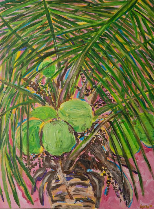 large dracaena plant Dracaena Golden Heart main image 0