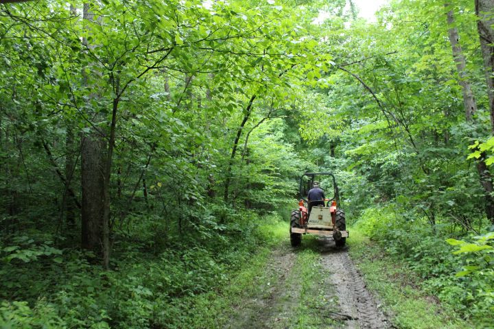Backwoods Indiana - Arbitrary Ginger Photography - Photography ...