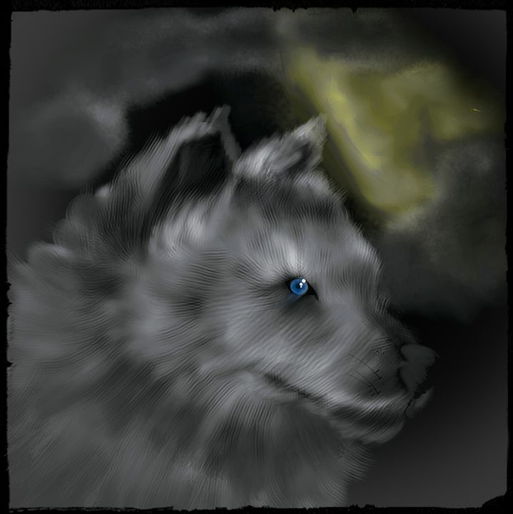 White Wolf - Ashley Hawkins