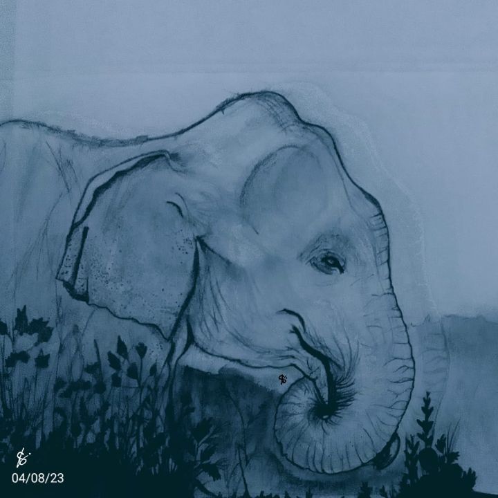 Elephant Pencil Drawing Print – Studio Q - Art by Nicky Quartermaine Scott