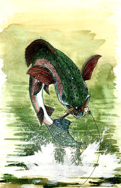Rainbow Trout 1 - ben leUang's Gallery - Drawings & Illustration