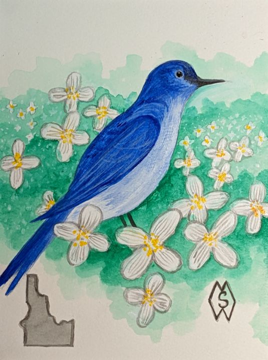 Idaho state bird and flower - Matt Starr Fine Art - Paintings
