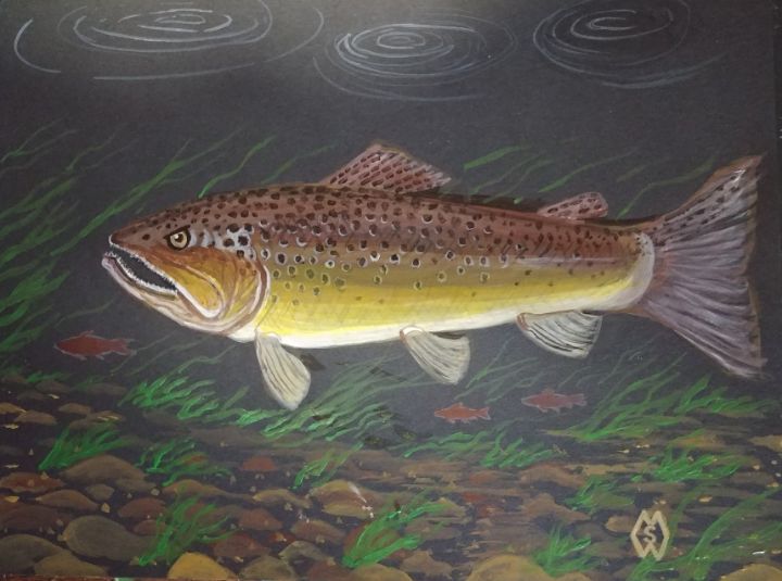 Saltwater fish school - Matt Starr Fine Art - Paintings & Prints, Animals,  Birds, & Fish, Aquatic Life, Fish, Saltwater Fish - ArtPal
