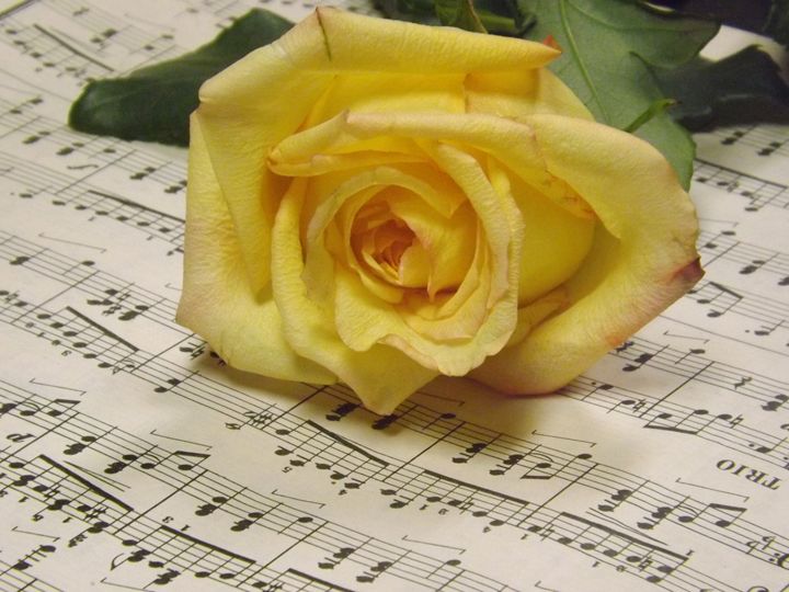 Classical Rose - Lorna Kay