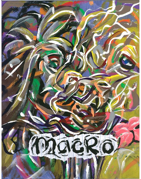 macro reid - amazon web art