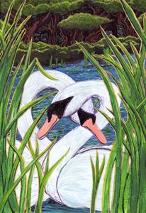 Swans Hello