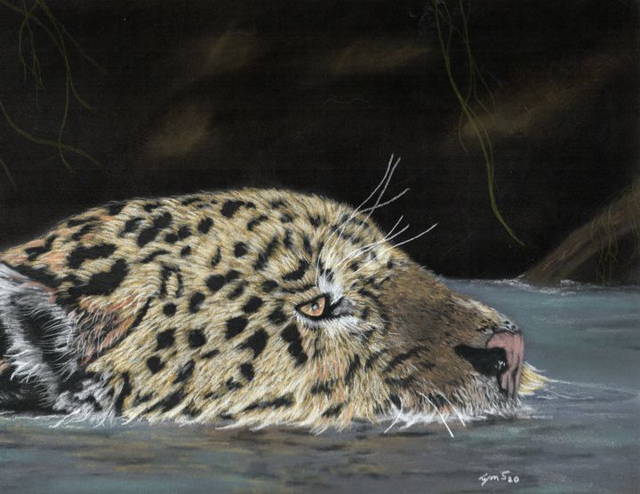 Leopard Swimming Original Piece Dreamz Art Drawings Illustration Animals Birds Fish Wild Cats Leopard Jaguar Artpal
