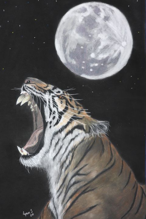 TIGER MOON, wildlife original art. - DREAMZ-ART - Drawings