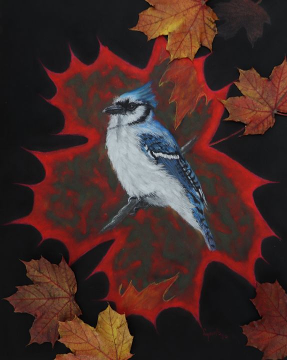REALLY CANADIAN BLUE JAY fine art. - DREAMZ-ART