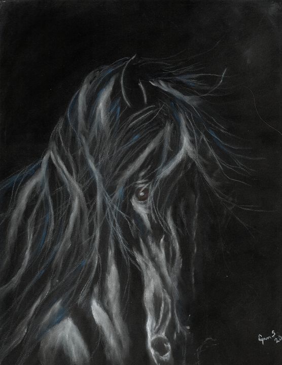 Charcoal drawing: Dark beauty., My first realistic horse po…