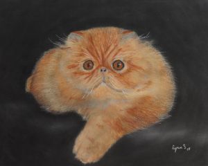 Cat And Butterfly Pencil Art - Deepa paintings - Drawings & Illustration,  Animals, Birds, & Fish, Cats & Kittens, Other Cats & Kittens - ArtPal