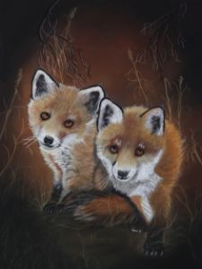 RED FOX PUPS