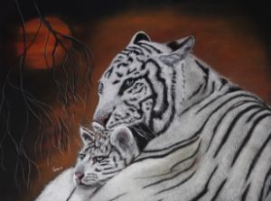 WHITE TIGER AND CUB
