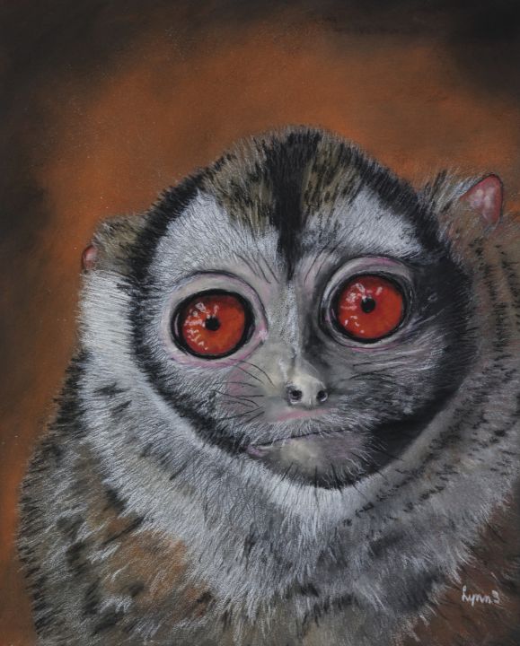 THREE-STRIPED NIGHT MONKEY - DREAMZ-ART