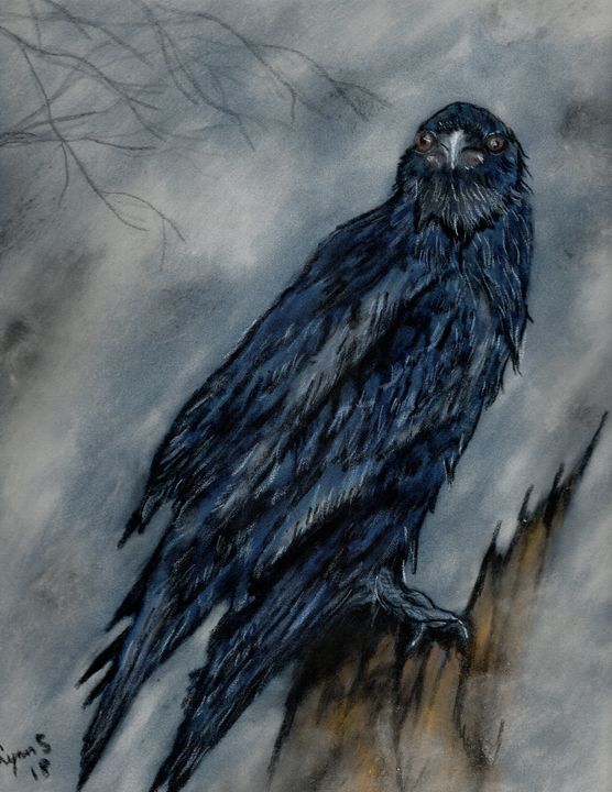 SCARY CROW - DREAMZ-ART - Drawings & Illustration, Animals, Birds, & Fish,  Birds, Ravens & Crows - ArtPal