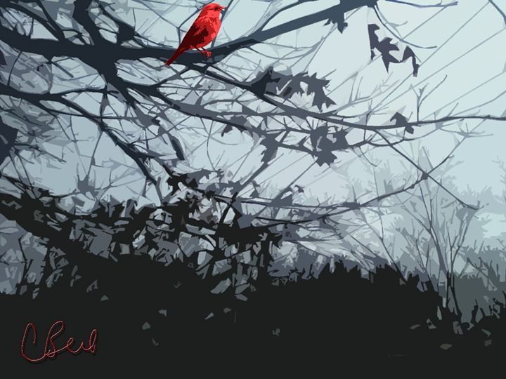 Red Bird in Tree - MannyBell