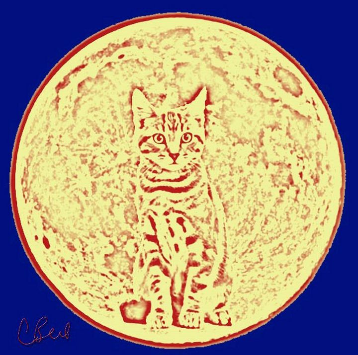 Cat in Moon - MannyBell