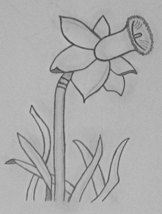 Daffodil - Creative Inspirations