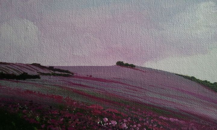 pink meadow - Articorner
