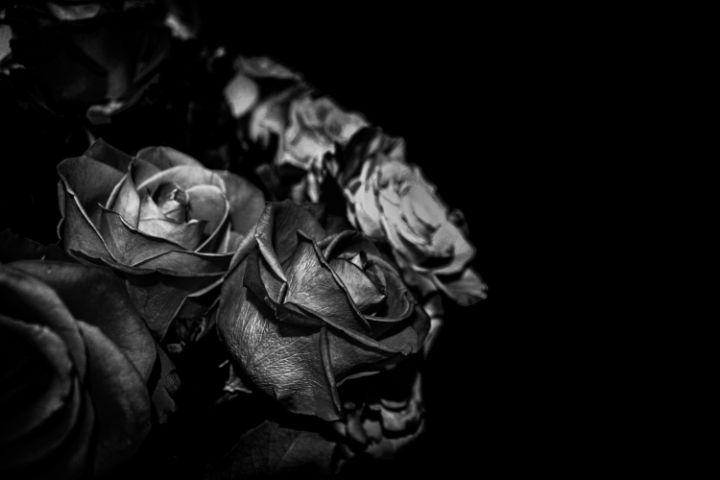 Black and White Roses - Sisu Art