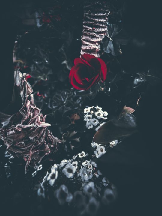 Flowers in a Garden - Sisu Art