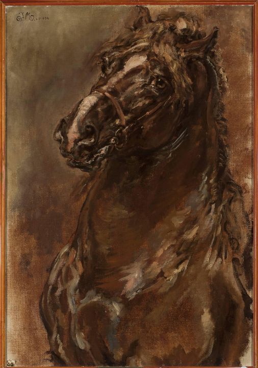 Study of horse's head for  The Maid - Master style