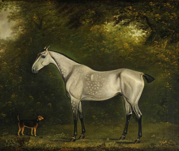 A Dappled Grey Hunter with a Terrier - Master style