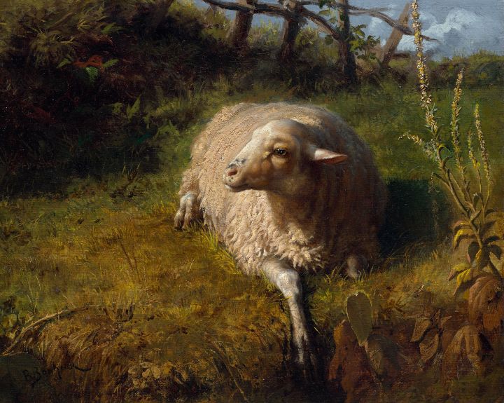 Rosa Bonheur French A Sheep at Rest - Master style - Paintings & Prints,  People & Figures, Other People & Figures, Other - ArtPal