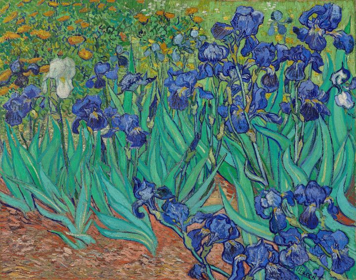 Vincent van Gogh Dutch Irises - Master style