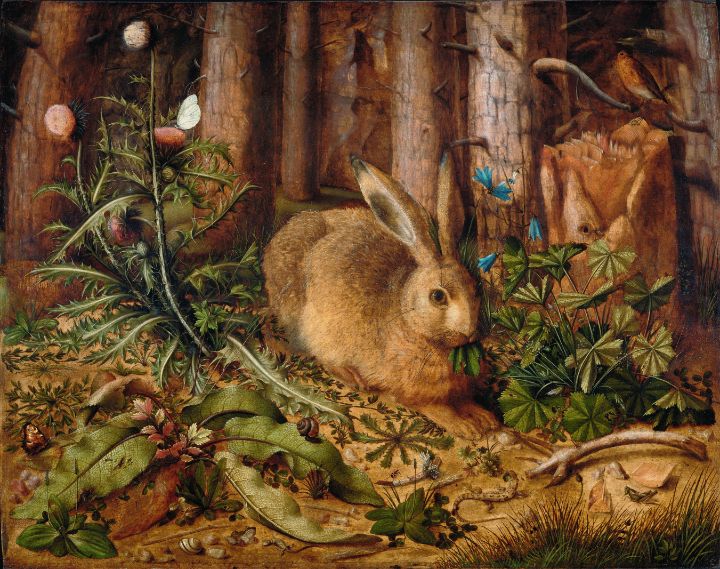 Hans Hoffmann German A Hare in the F - Master style