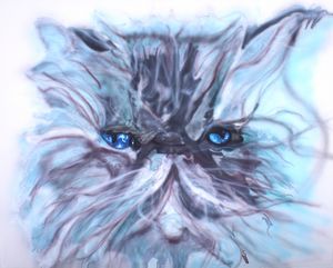 Tête de chat