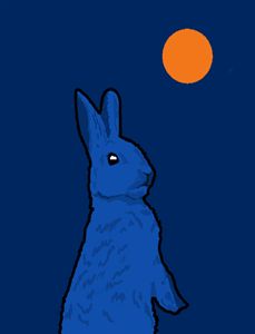 Mysterious Rabbit