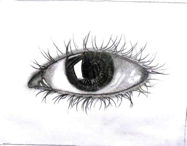 Realistic eye sketch-anthinhphatland.vn