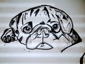 Simple pug drawing