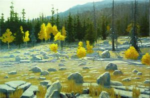 Boulder Strewn Mountain Meadow