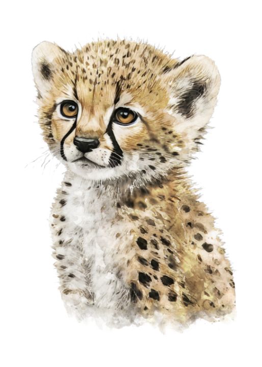 Colorful Cheetah Wallpaper  Animals beautiful, Cute animal drawings, Cute  little animals