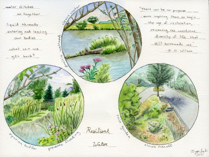 Watercolor Field Journal