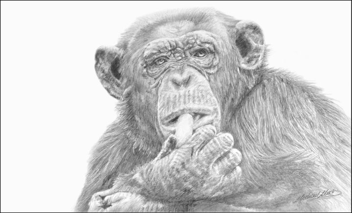 Chimpanzee - Michael Moore