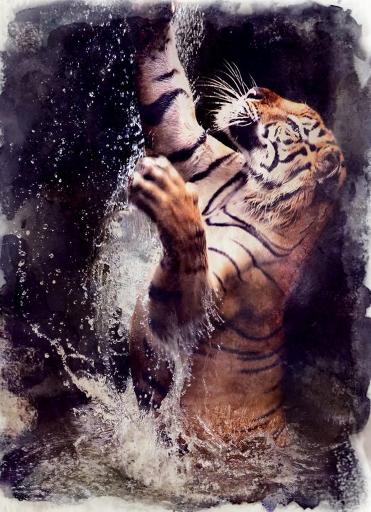 Tiger - Paradise