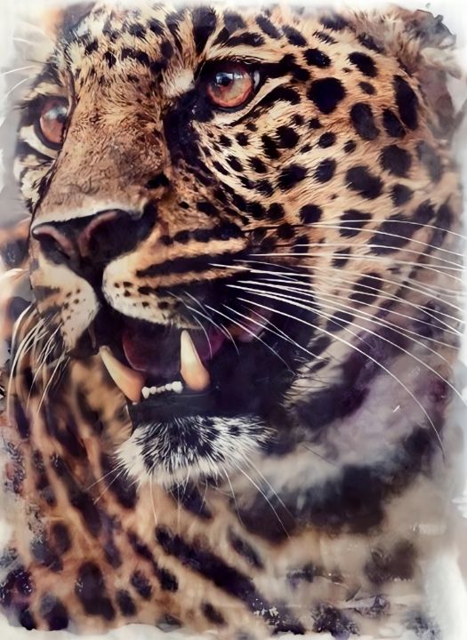Leopard - Paradise