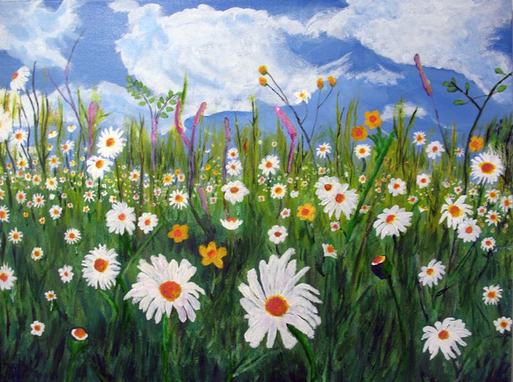 Field of daisies - Joy Azer's Gallery