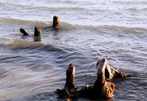 Nature's Beach