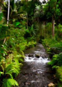 Quiet Jungle