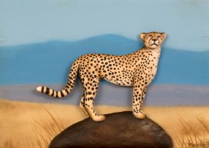 Cheetah, 3D Painting