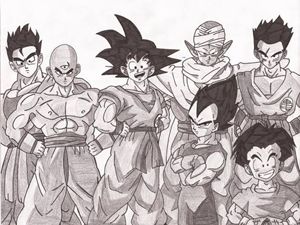 The whole Z-warriors