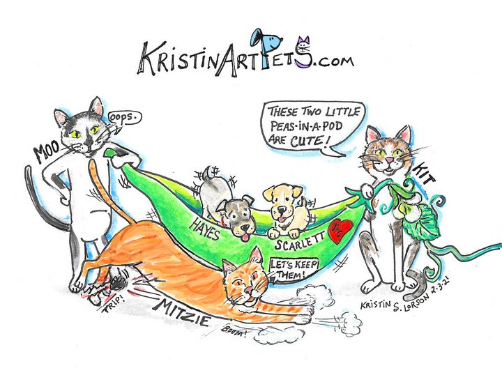 Moo, Mitzie, Hayes, Scarlett and Kit - KristinArtPets and more By Kristin Lorson