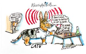 Cato the Cat-o-radar!