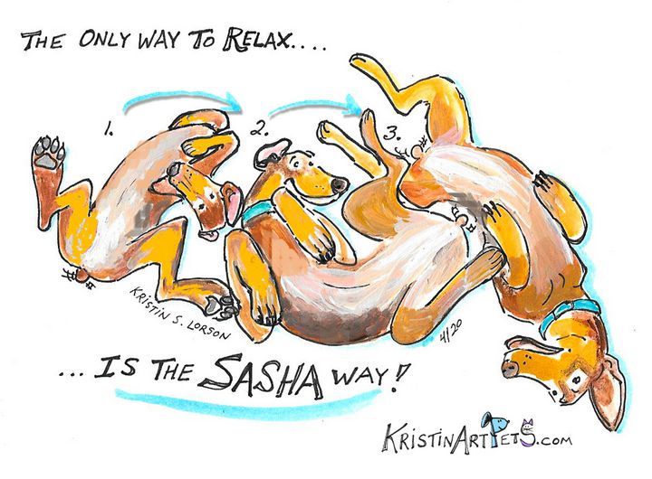 Sasha -KristinArtPets.com - KristinArtPets and more By Kristin Lorson