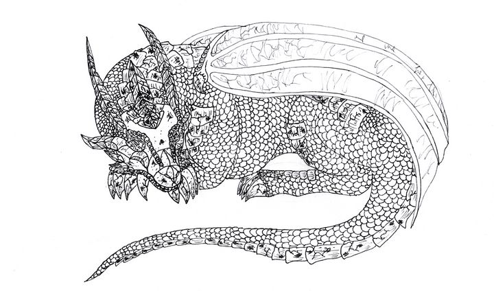 Sleeping Dragon Sketch  Drawing Skill