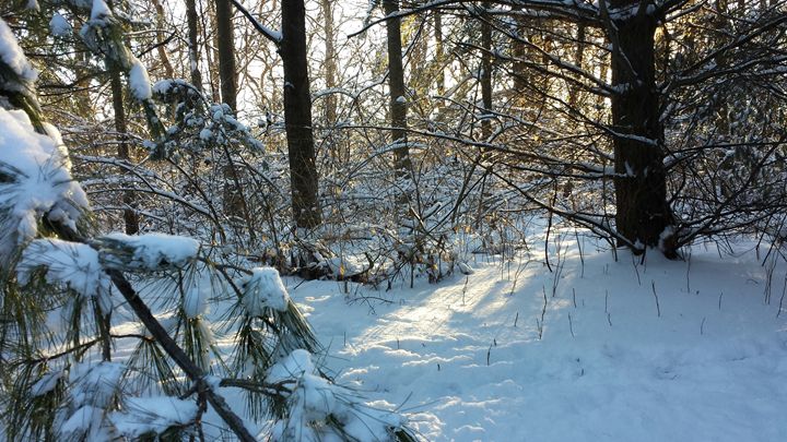 Come Warmth of Winter's Sun - J Anthony Shuff Artwortks